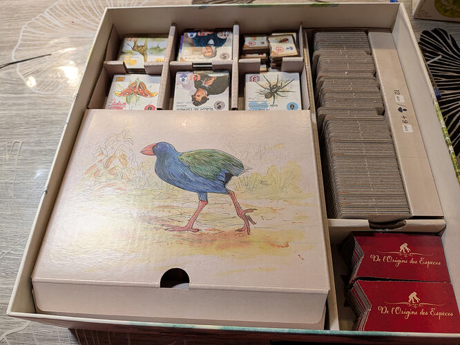 PXL_20260228_222620002