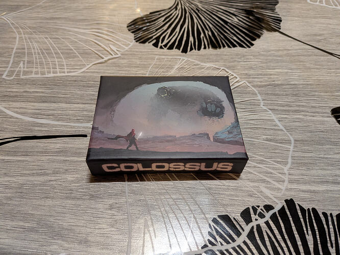 PXL_20260205_202601054