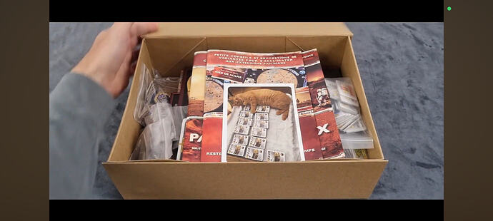 Screenshot_2025-11-21-11-00-02-453_com.google.android.youtube