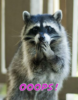 ooops-raccoon