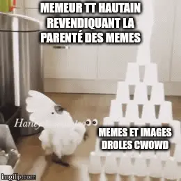 ezgif.com-gif-maker (1)