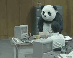 giphy (1)