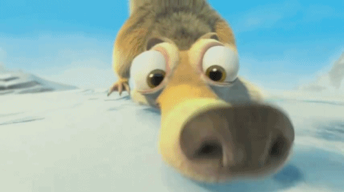 scrat-renifle