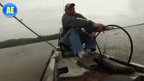 funny-fishing-4