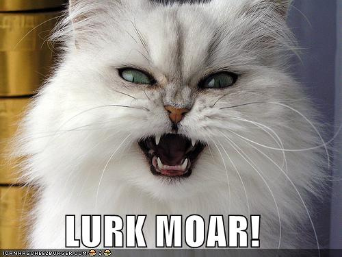 lurkmoarcat