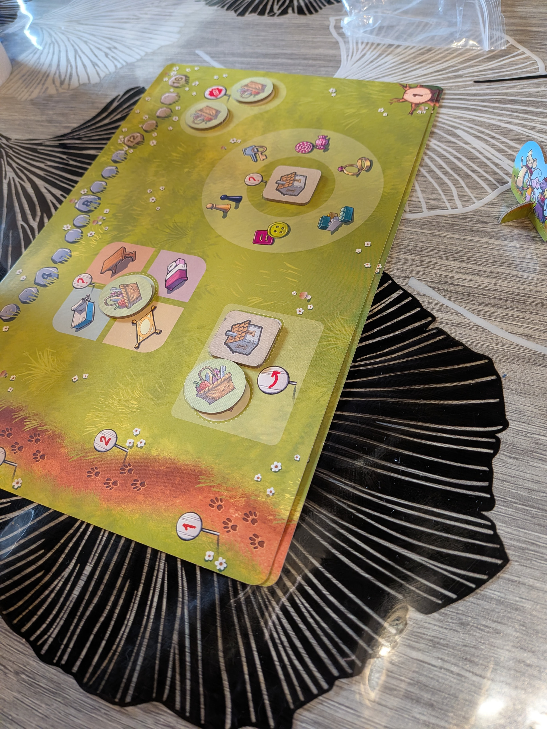 PXL_20260207_152617638