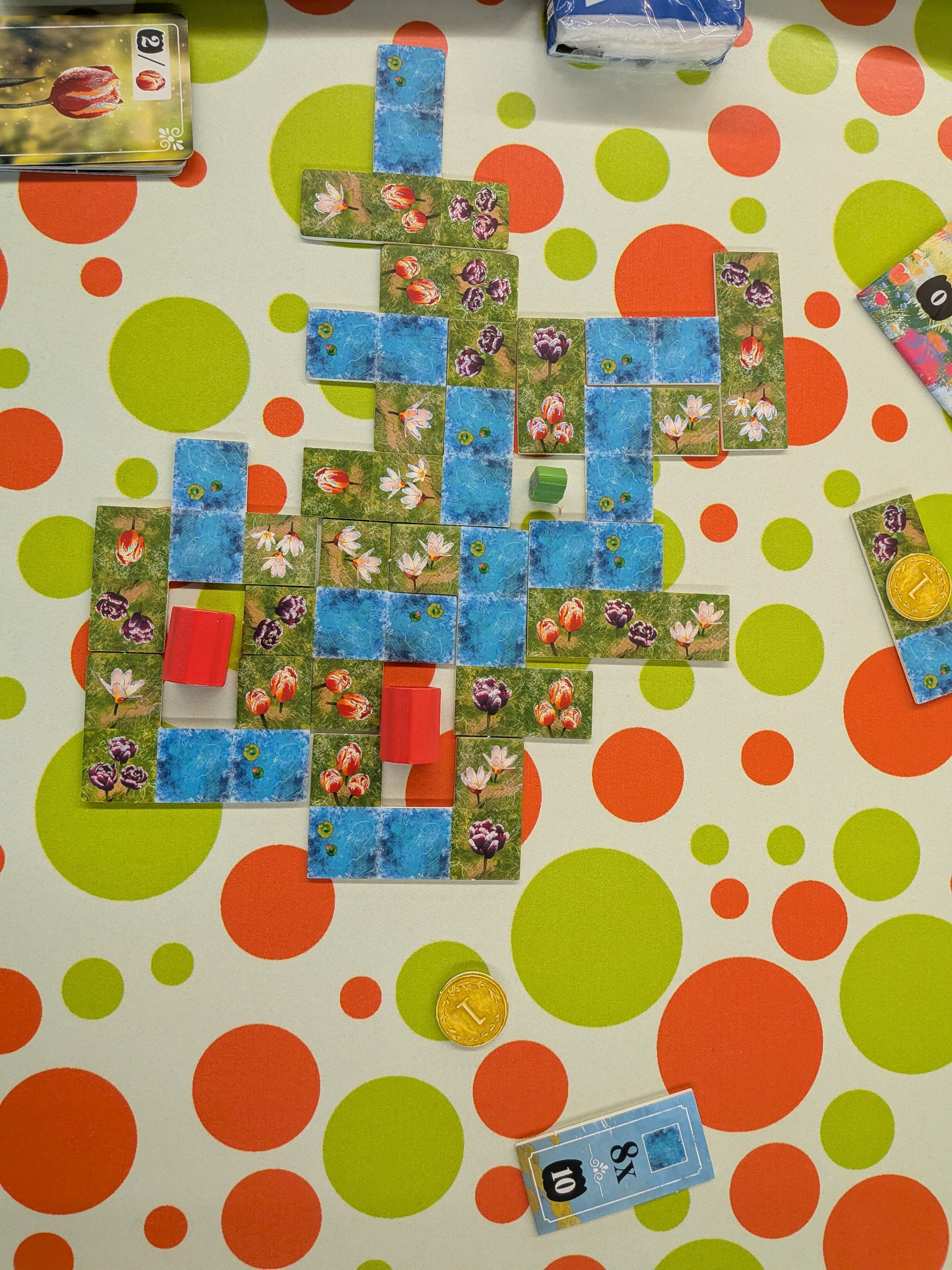 PXL\_20260517\_162412035|375x500