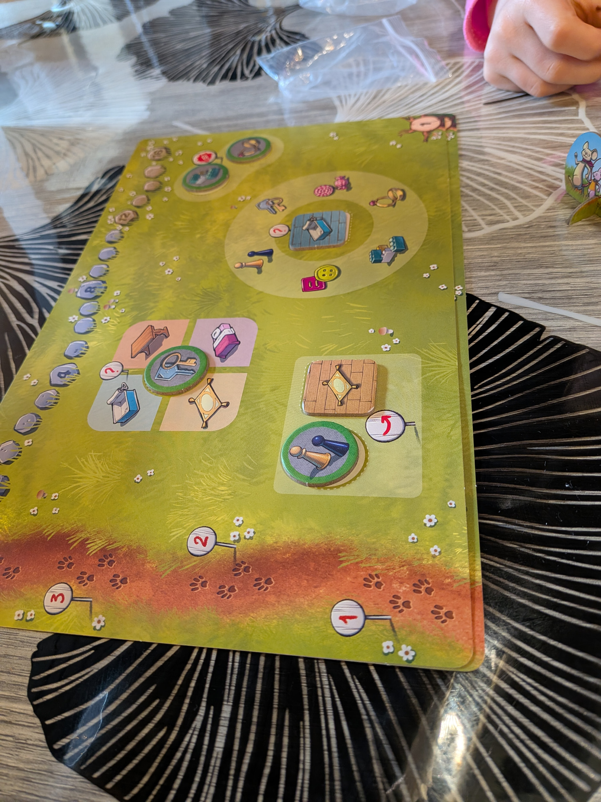 PXL_20260207_152849022.MP