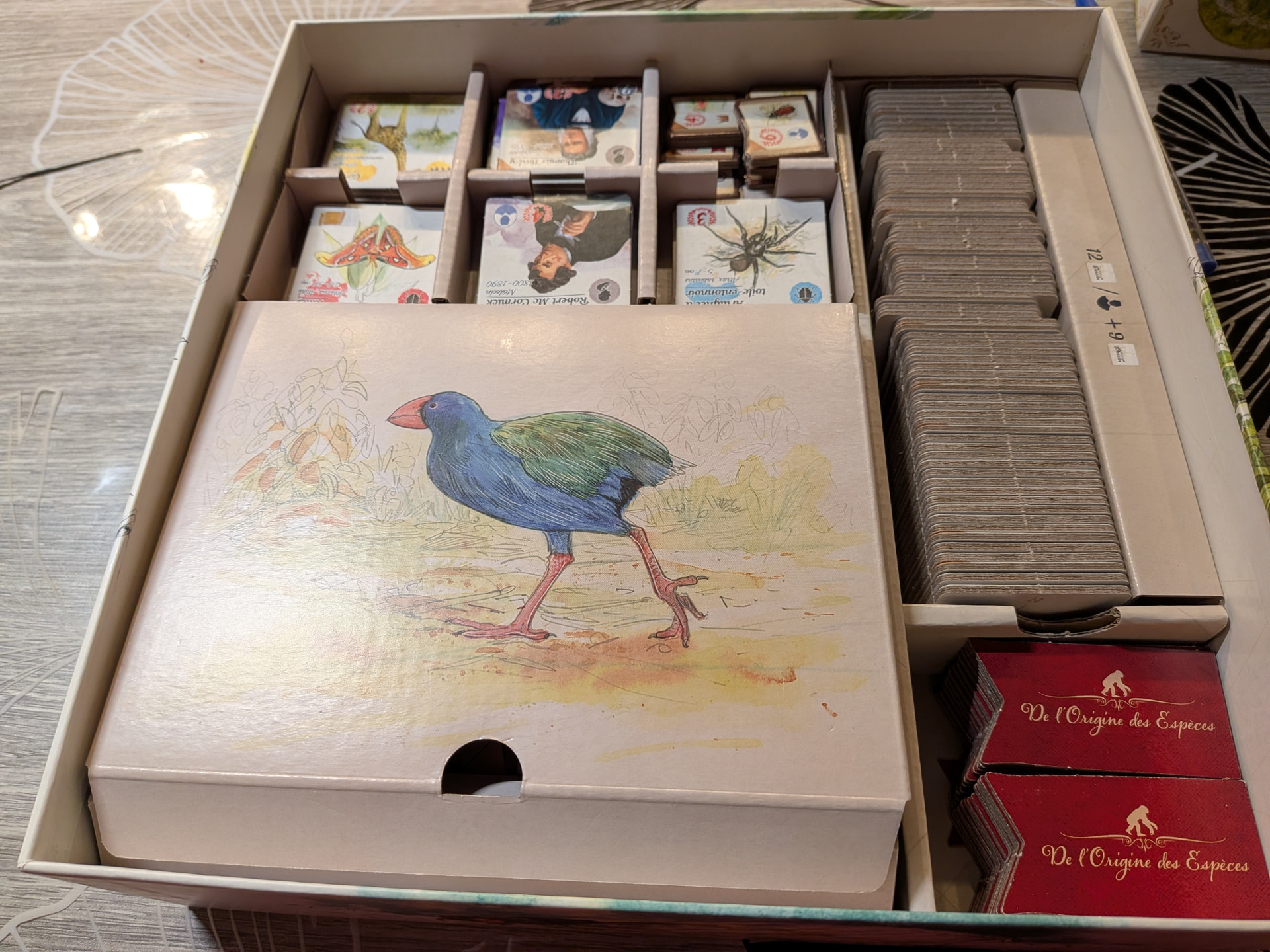 PXL_20260228_222620002