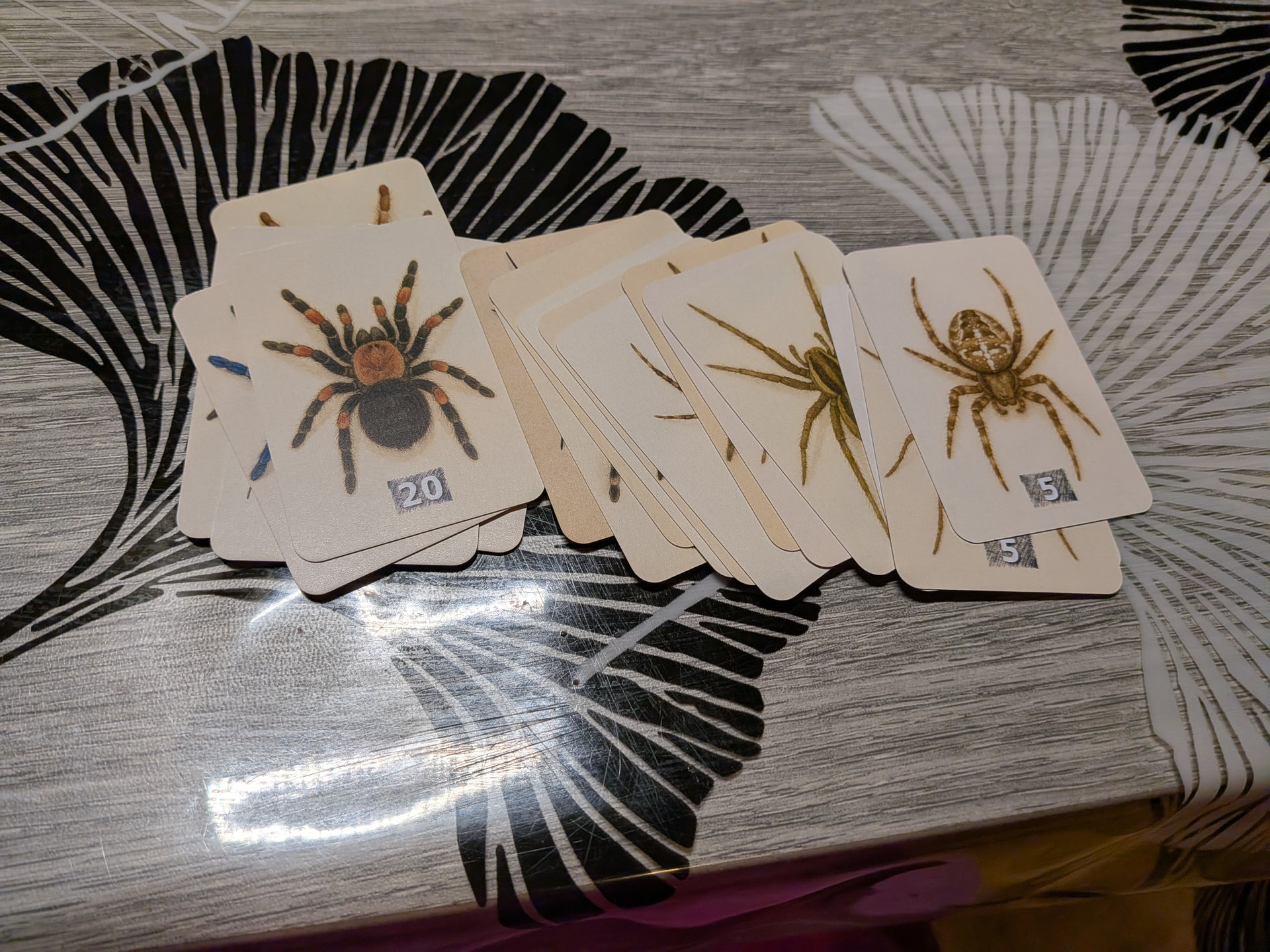 PXL_20260318_215913129