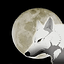 Avatar for Kiba